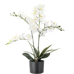Bloomingville Künstliche Orchidee, Kunstblume