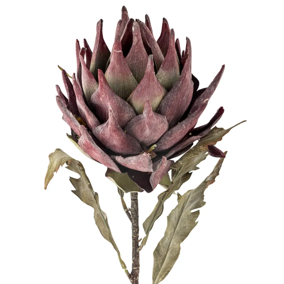Bloomingville Kunstblume Protea Stiel, Violett
