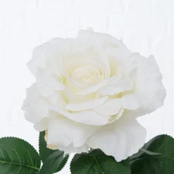 Boltze Stielkunstblume Rose