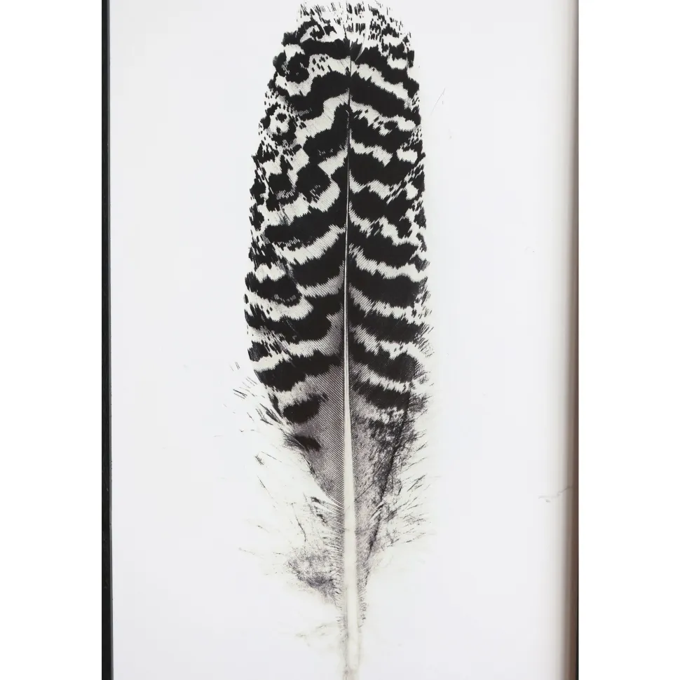 Chic Antique Bild mit Federnmotiv und schwarzem Rahmen