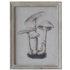 Chic Antique Bild mit Pilzmotiv und Naturrahmen