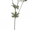 Chic Antique Fleur Distel 1