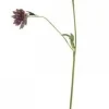 Chic Antique Fleur Distel 4