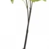 Chic Antique Fleur Echter Schneeball lime