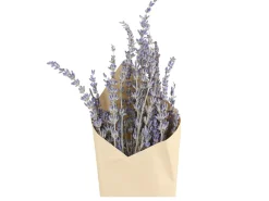 Chic Antique Fleur getrocknete Lavendel Blumen