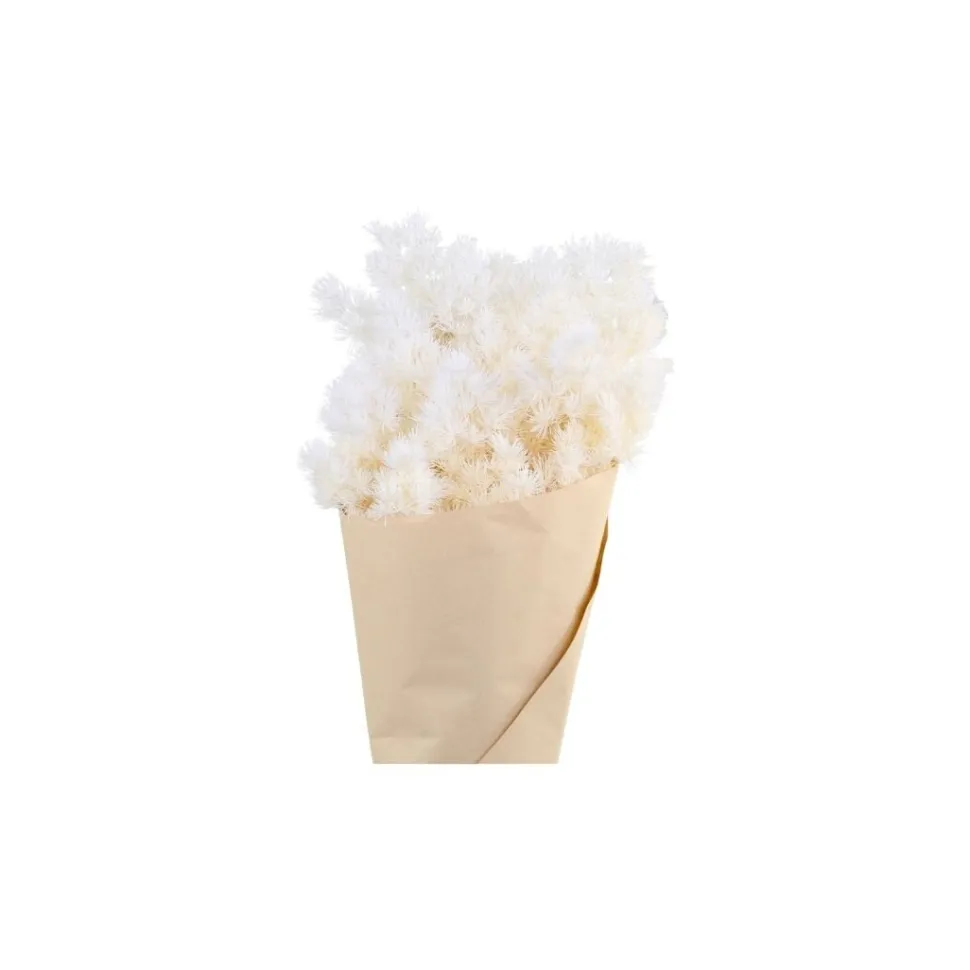 Chic Antique Fleur getrocknete Schleierspargel
