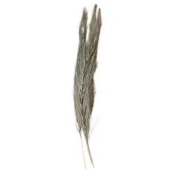 Chic Antique Fleur getrocknetes Gras