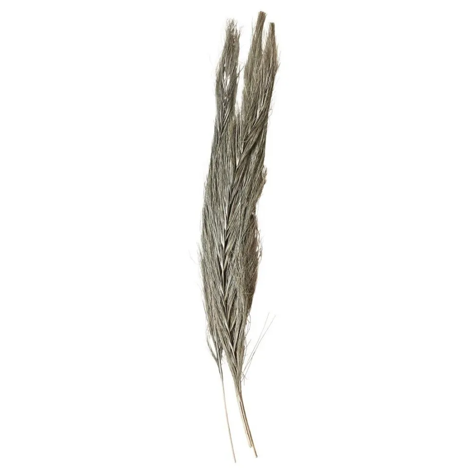 Chic Antique Fleur getrocknetes Gras
