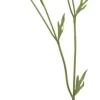 Chic Antique Fleur Gräben Kante Blume 5