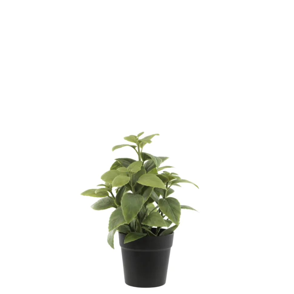 Chic Antique Fleur künstliche Minze