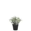 Chic Antique Fleur künstliche Pflanze Jojoba