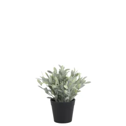 Chic Antique Fleur künstliche Pflanze Jojoba