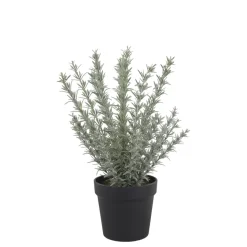 Chic Antique Fleur künstlicher Rosmarin Topf