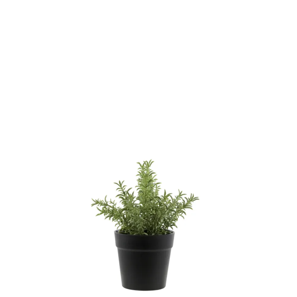 Chic Antique Fleur künstlicher Rosmarin Topf