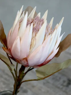 Chic Antique Fleur Kunstblume Protea