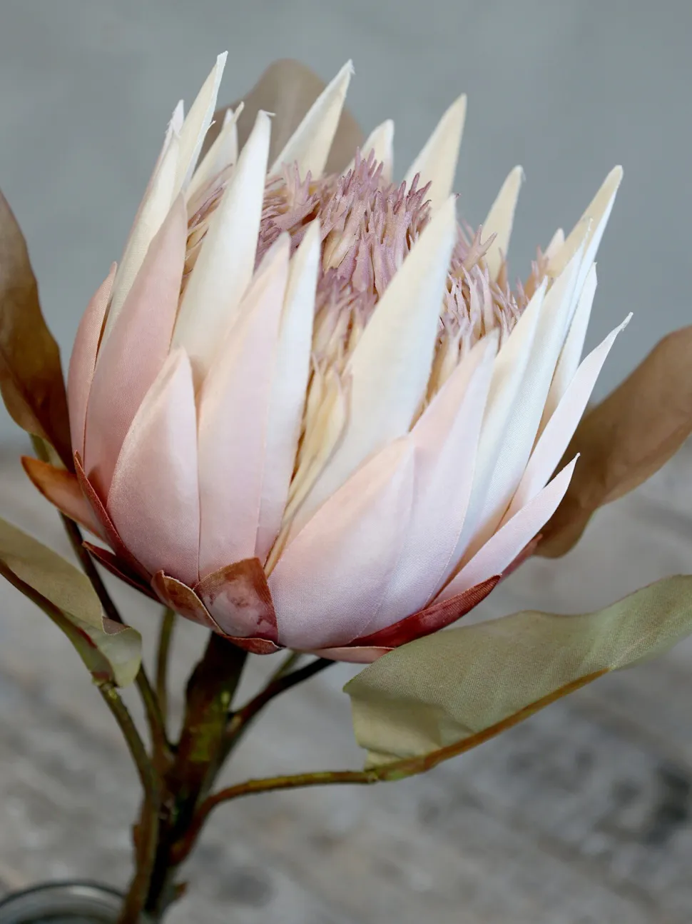 Chic Antique Fleur Kunstblume Protea