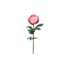 Chic Antique Fleur Pfingstrose