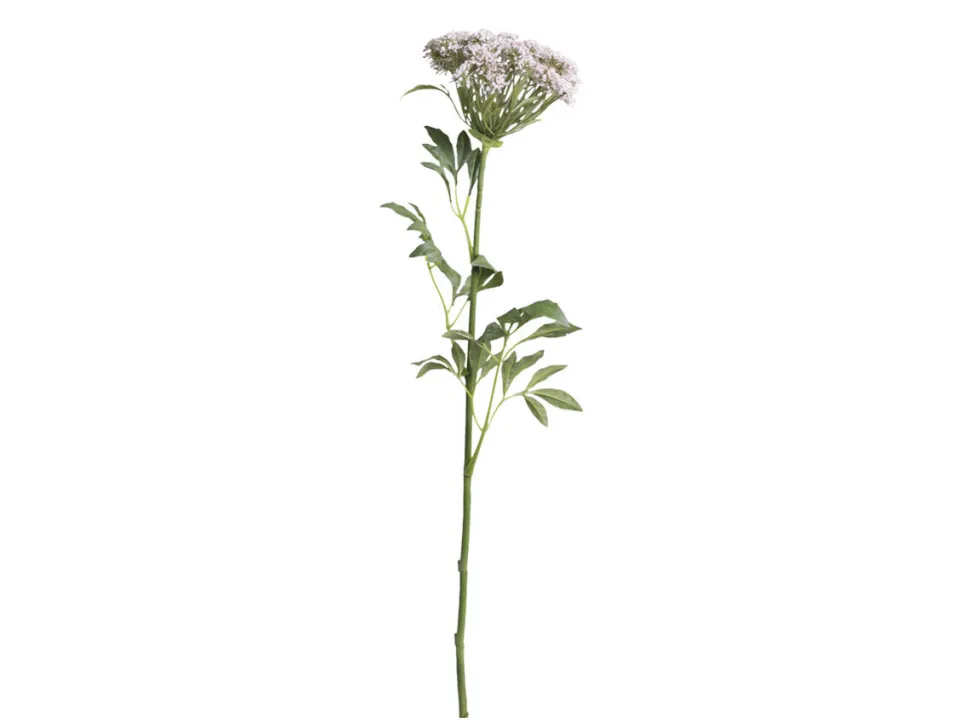 Chic Antique Fleur Wilde Möhre