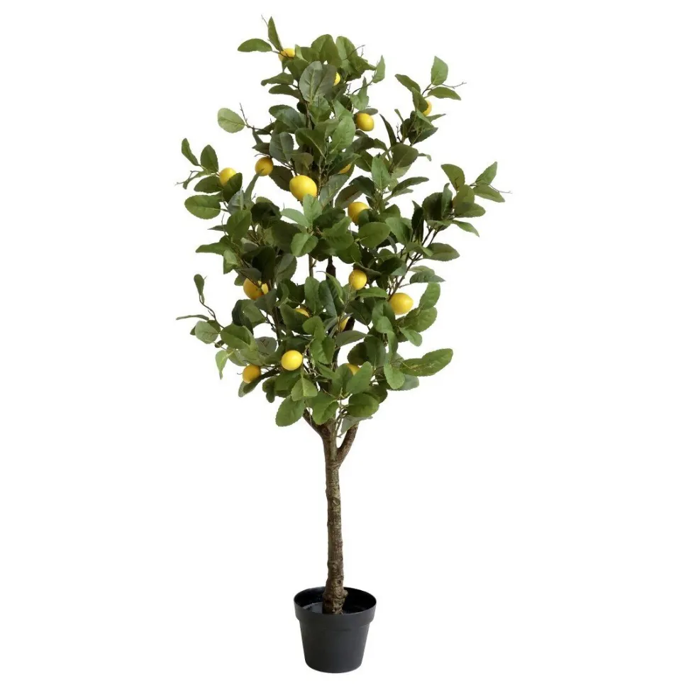 Chic Antique Fleur Zitronenbaum