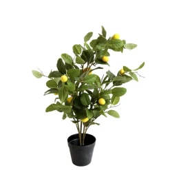 Chic Antique Fleur Zitronenbaum