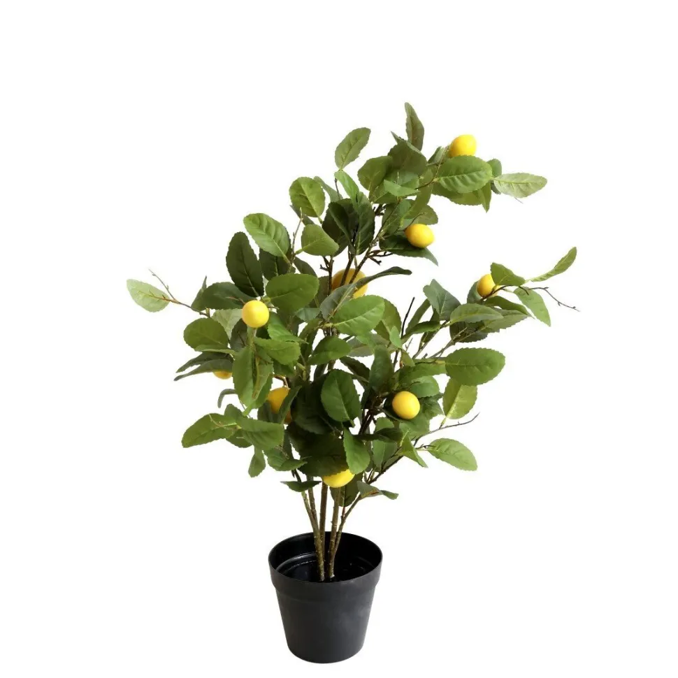 Chic Antique Fleur Zitronenbaum