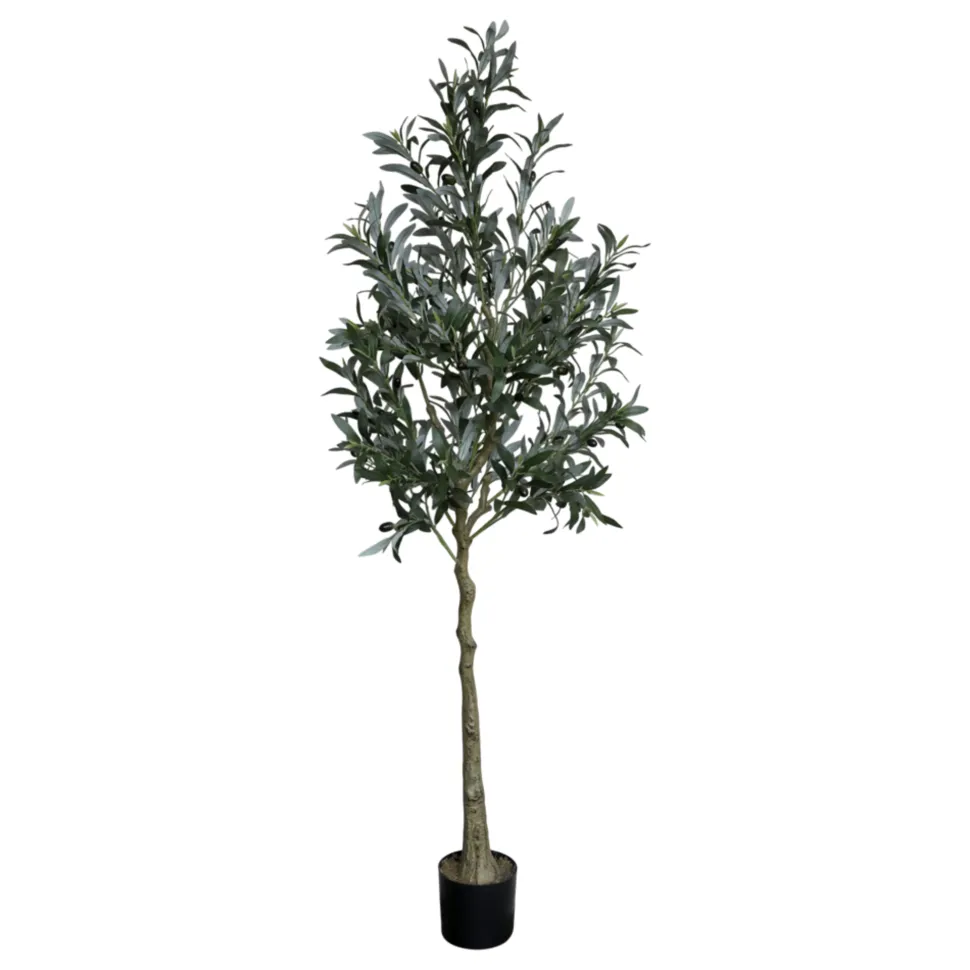 Chic Antique Künstlicher Olivenbaum Fleur