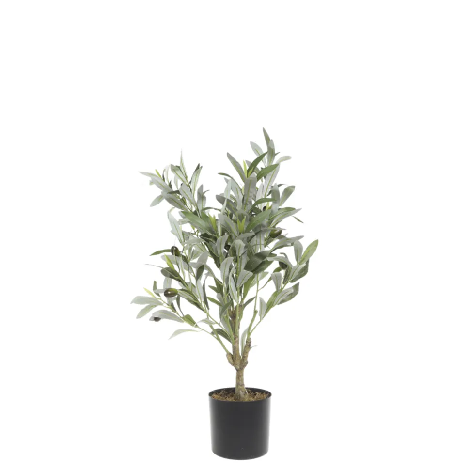 Chic Antique Künstlicher Olivenbaum Fleur