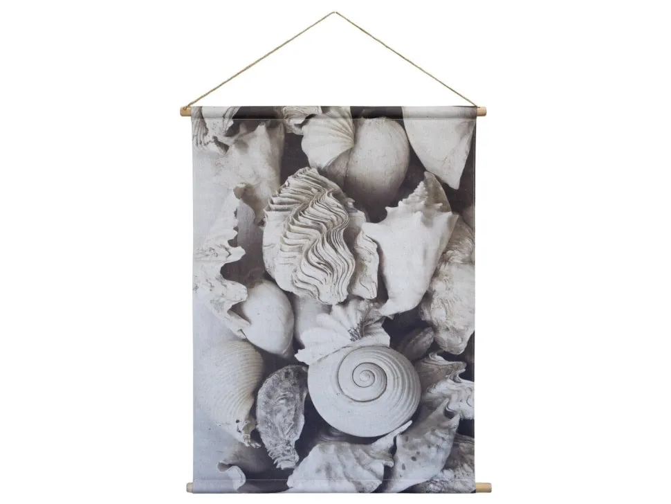 Chic Antique Muscheln Leinwandbild zum Aufhängen