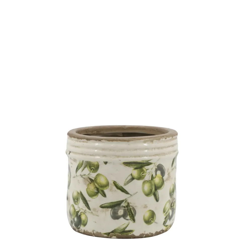 Chic Antique Olive Übertopf mit Rand, Olivenmuster