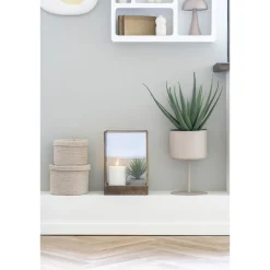 House Nordic Aloe Vera Künstliche Grünpflanze