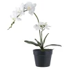 House Nordic Künstliche Orchidee im Topf