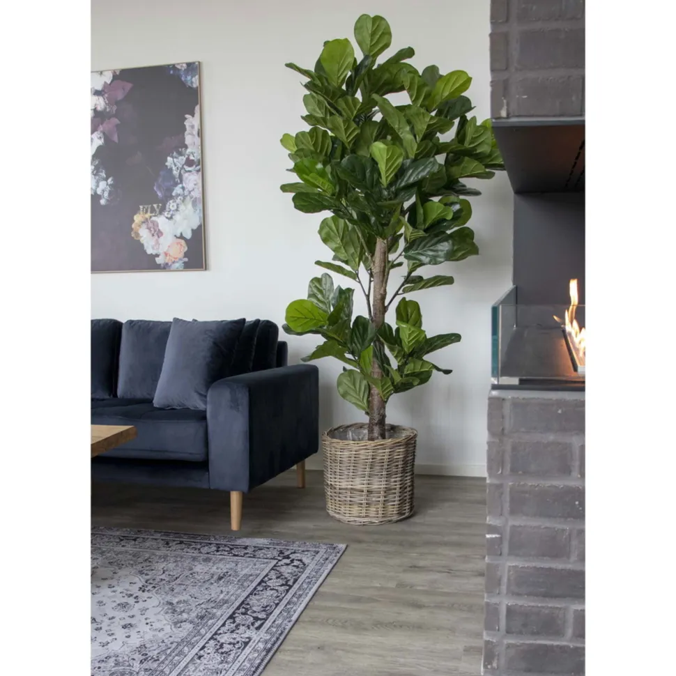 House Nordic Künstlicher Geigenblattbaum, Grünpflanze XXL