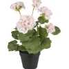 IB Laursen Geranie in Topf rosa Blumen